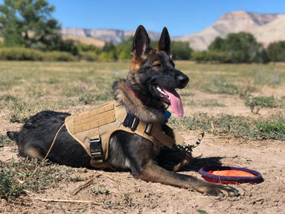 Military Large Dog Harness Pet German Shepherd K9 Malinois Training Vest Tactical Dog Harness And Leash Set For Dogs Accessories