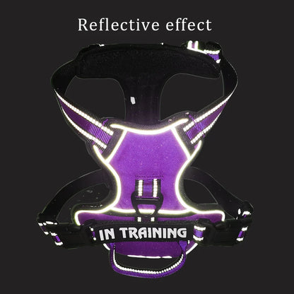 🐕 Personalized Reflective Dog Harness – Comfort & Safety for Dogs of All Sizes!