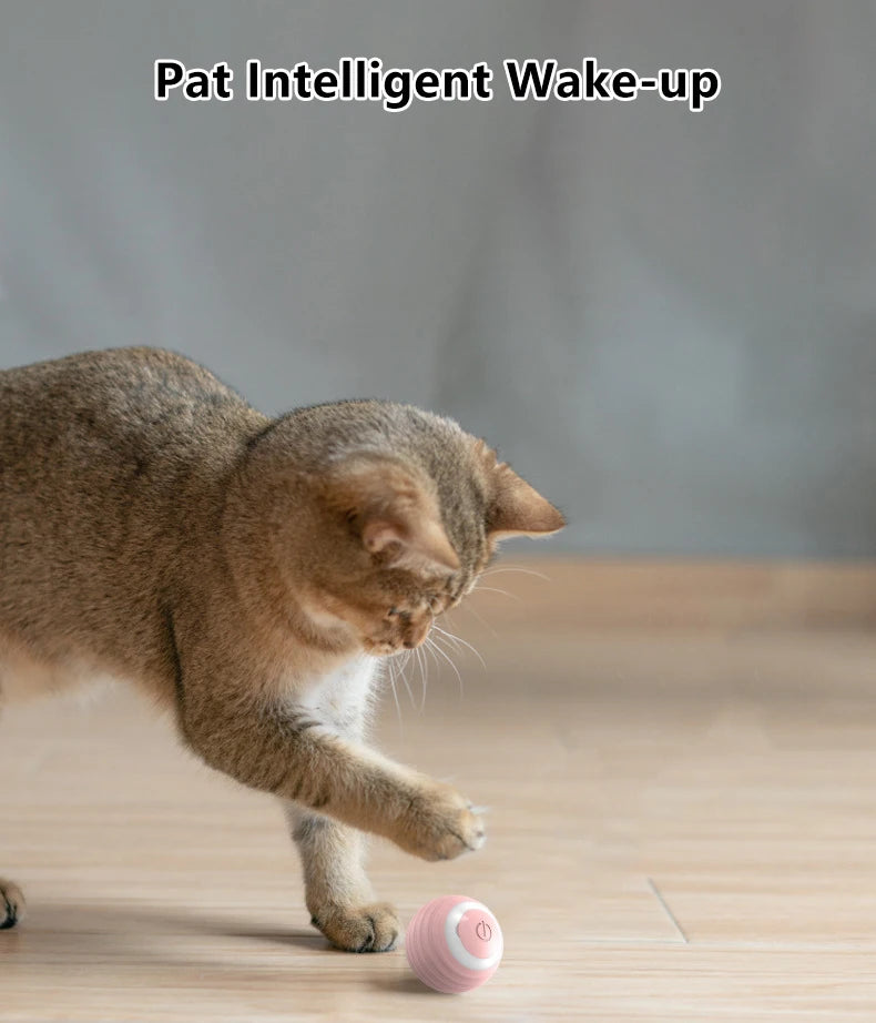 🎾 Cat Interactive Smart Rolling Ball – The Ultimate Indoor Playmate! Unleash Endless Fun for Your Feline Friend! 🐾