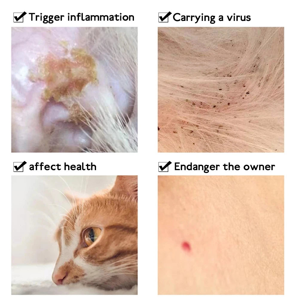 🛡️ Anti-Flea & Tick Collar – 8 Months of Protection for Cats & Small Dogs!