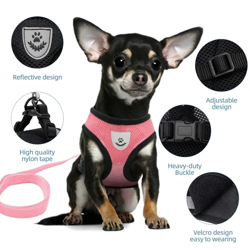 🐾 Adjustable Cat Harness Vest & Leash Set – Perfect for Cats and Small Dogs!