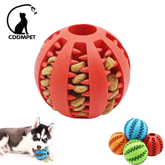 Interactive Elastic Dog Ball Toy - Chew & Clean with Fun!