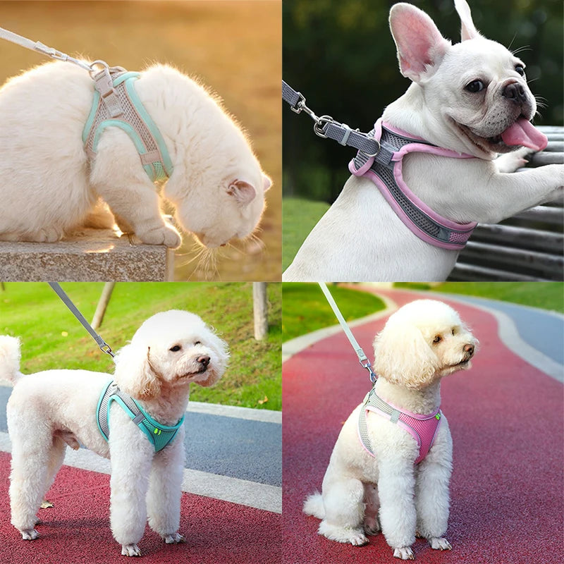 🐾 Cat & Dog Harness Leash Set – Adjustable Comfort for Your Furry Friend!