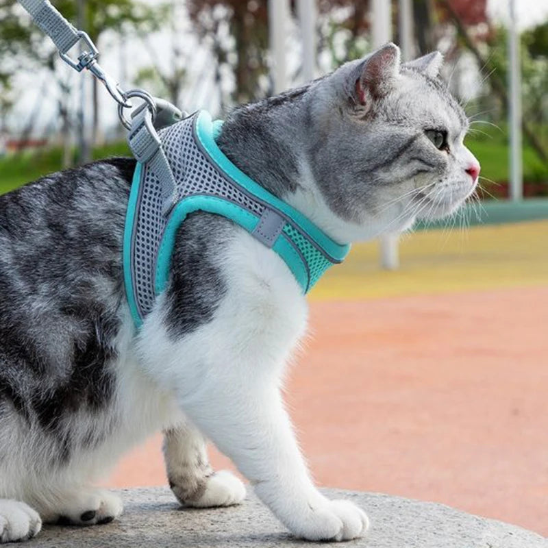 🐾 Cat & Dog Harness Leash Set – Adjustable Comfort for Your Furry Friend!