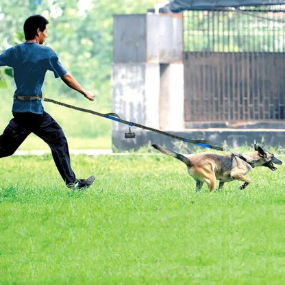 Reflective Hands-Free Dog Running Belt with Elastic Leash