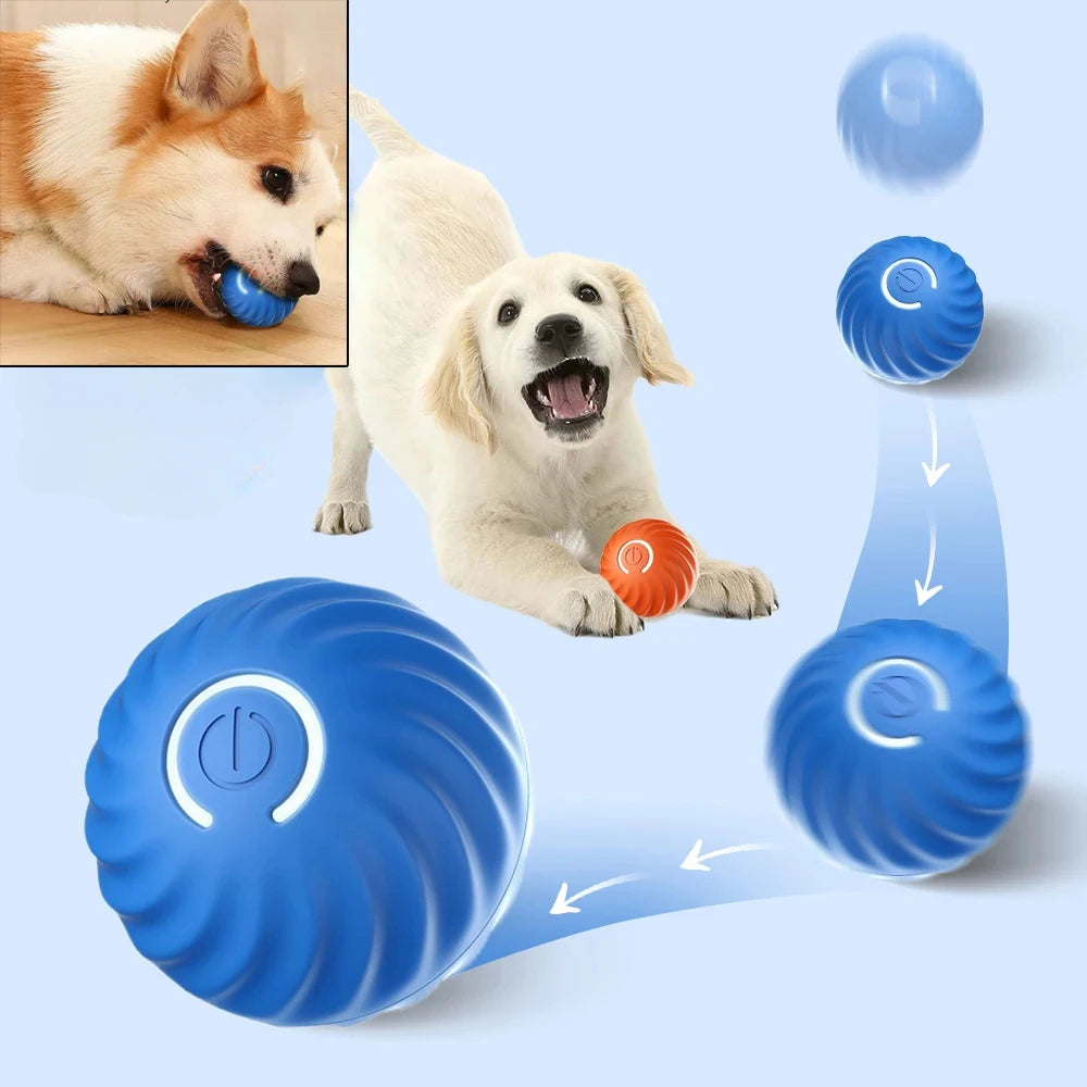 🐾 Smart Interactive Rolling Ball – Endless Fun for Your Puppy!