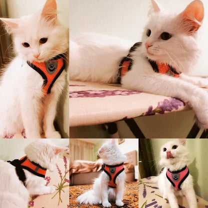 🐾 Adjustable Cat Harness Vest & Leash Set – Perfect for Cats and Small Dogs!