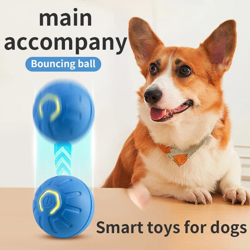 🎾 Smart Dog Toy Ball – Electronic Interactive Moving Ball for Dogs & Cats!