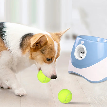 🎾 Automatic Dog Tennis Ball Launcher – Endless Fun for Your Energetic Puppy!