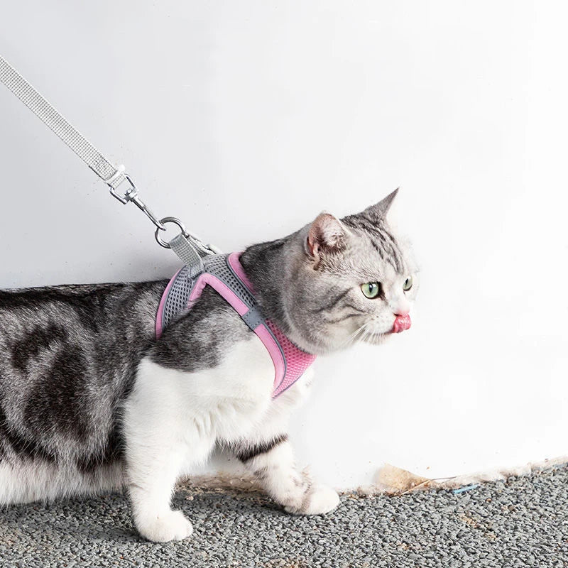 🐾 Cat & Dog Harness Leash Set – Adjustable Comfort for Your Furry Friend!