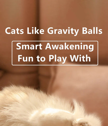 🎾 Cat Interactive Smart Rolling Ball – The Ultimate Indoor Playmate! Unleash Endless Fun for Your Feline Friend! 🐾