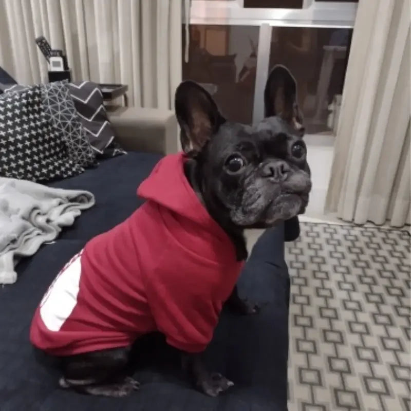 🧥 Cozy Hoodies for Large Dogs – Perfect for Autumn and Winter!