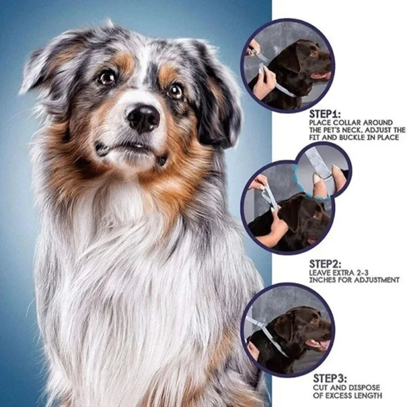 Dog Anti-Flea & Tick Collar - 8-Month Protection for All Sizes