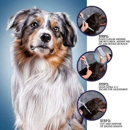 Dog Anti-Flea & Tick Collar - 8-Month Protection for All Sizes