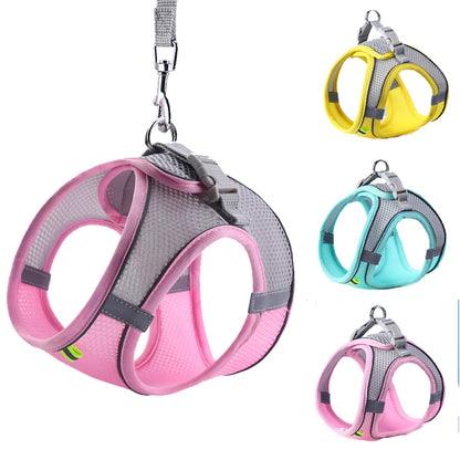 🐾 Cat & Dog Harness Leash Set – Adjustable Comfort for Your Furry Friend!