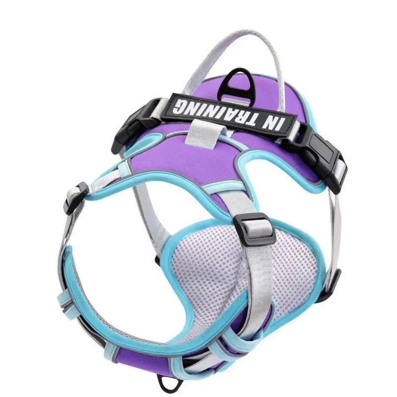 🐕 Personalized Reflective Dog Harness – Comfort & Safety for Dogs of All Sizes!