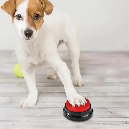 🗣️ Recordable Talking Pet Toy – Give Your Dog a Voice!