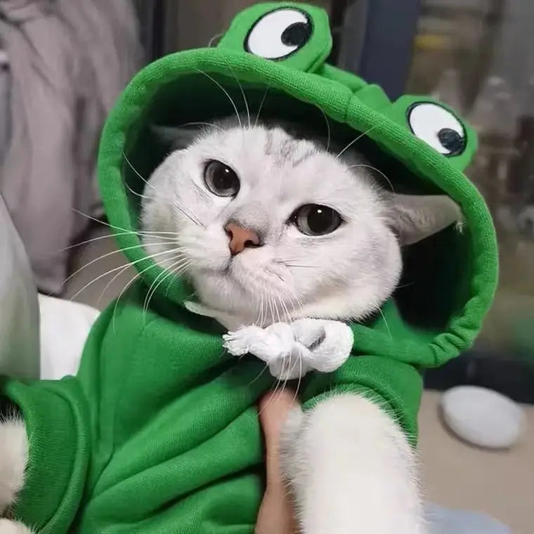 🐸 Cute Frog Hoodie Dog Coat – Adorable Cosplay for Your Pet!