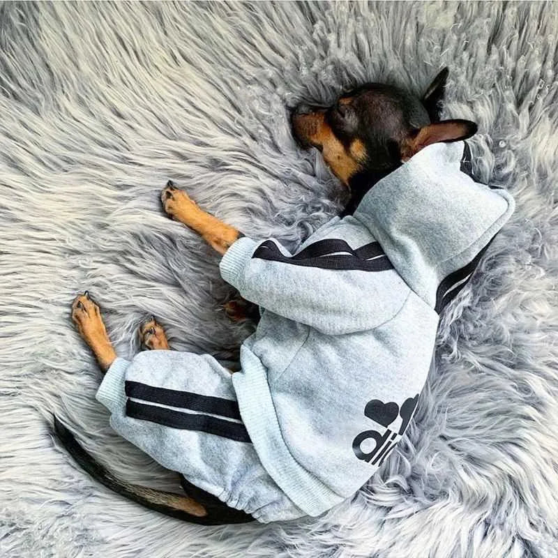 🐶 Adidog Dog Jumpsuit – Keep Your Pup Warm and Stylish!