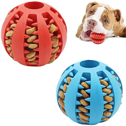 Interactive Elastic Dog Ball Toy - Chew & Clean with Fun!