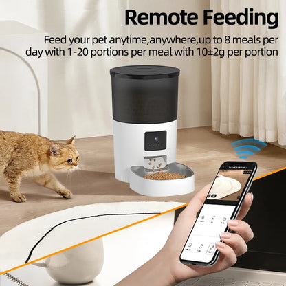 Alimentador automático para gatos ROJECO com câmera.