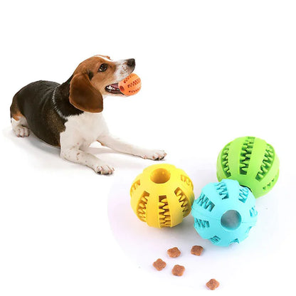 Interactive Elastic Dog Ball Toy - Chew & Clean with Fun!