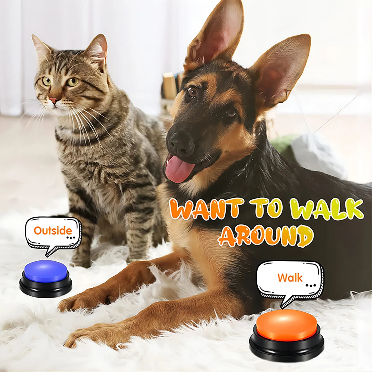 🗣️ Recordable Talking Pet Toy – Give Your Dog a Voice!