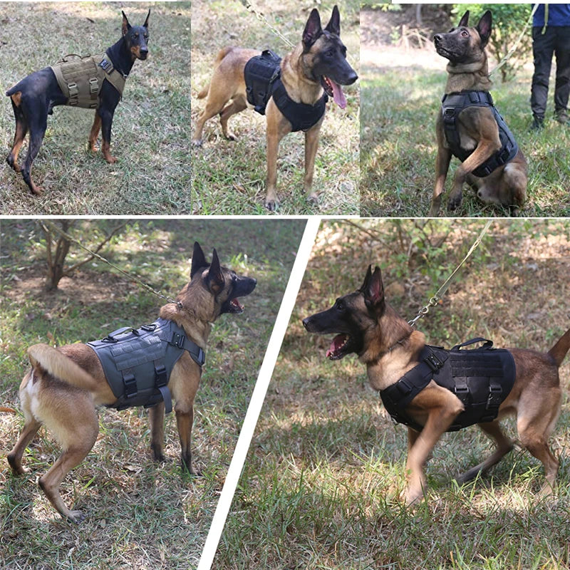 K9 Tactical Military Vest – Elite Gear for Your Dog’s Training & Adventures!