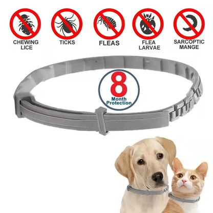 Dog Anti-Flea & Tick Collar - 8-Month Protection for All Sizes