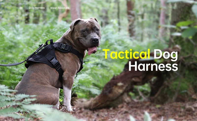 K9 Tactical Military Vest – Elite Gear for Your Dog’s Training & Adventures!