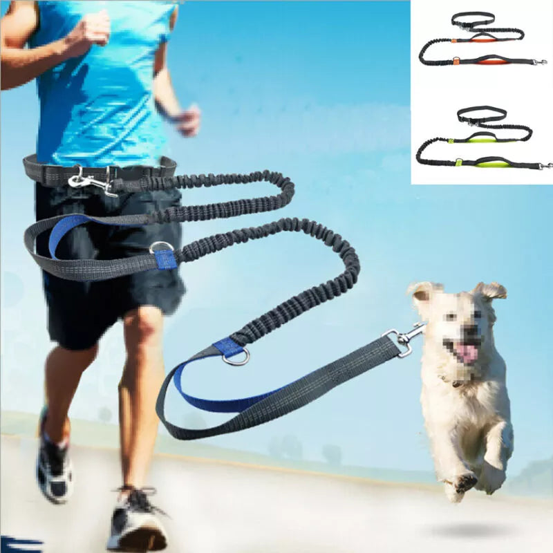 Reflective Hands-Free Dog Running Belt with Elastic Leash