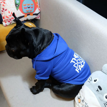 🧥 Cozy Hoodies for Large Dogs – Perfect for Autumn and Winter!