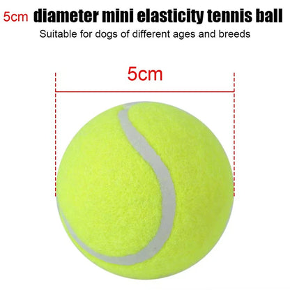 🎾 Automatic Dog Tennis Ball Launcher – Endless Fun for Your Energetic Puppy!