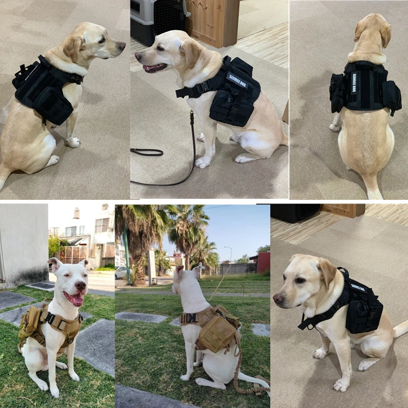 K9 Tactical Military Vest – Elite Gear for Your Dog’s Training & Adventures!