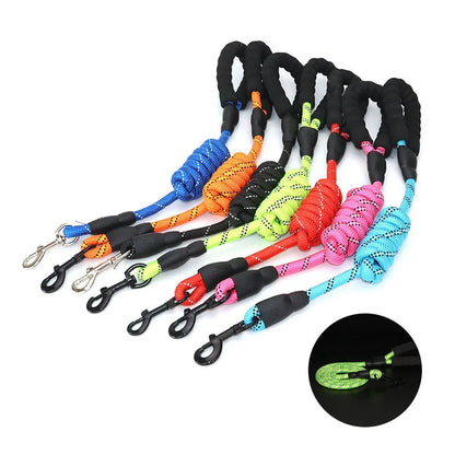 🐕 Reflective Dog Leash with Padded Handle – Strength, Comfort, and Safety in One!