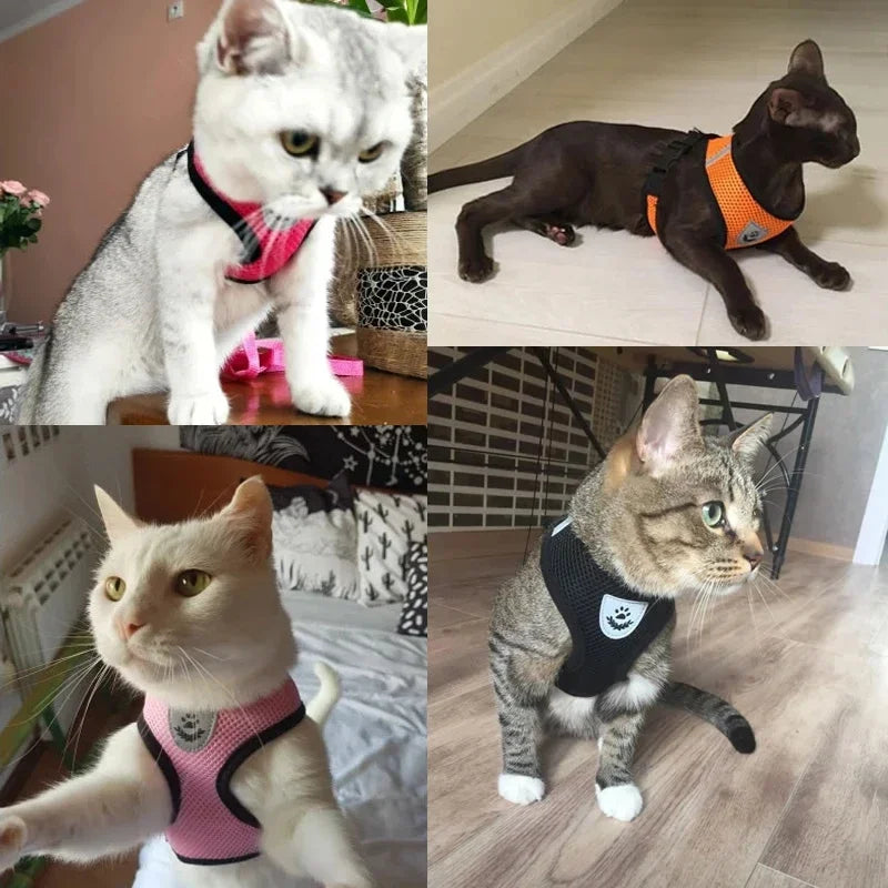 🐾 Adjustable Cat Harness Vest & Leash Set – Perfect for Cats and Small Dogs!