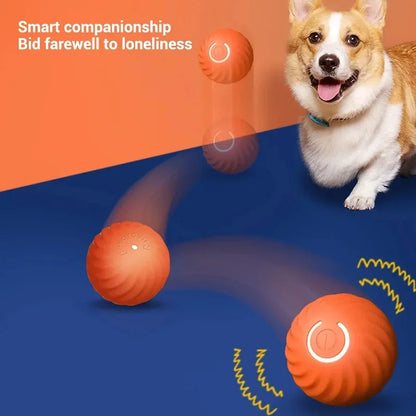 🐾 Smart Interactive Rolling Ball – Endless Fun for Your Puppy!