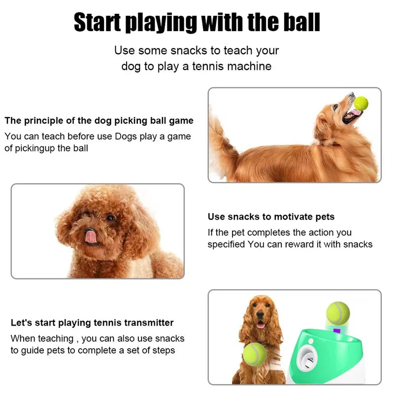 🎾 Automatic Dog Tennis Ball Launcher – Endless Fun for Your Energetic Puppy!