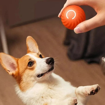 🐾 Smart Interactive Rolling Ball – Endless Fun for Your Puppy!