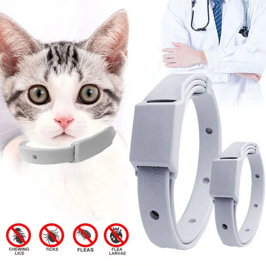 🛡️ Anti-Flea & Tick Collar – 8 Months of Protection for Cats & Small Dogs!