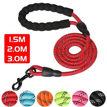 🐕 Reflective Dog Leash with Padded Handle – Strength, Comfort, and Safety in One!