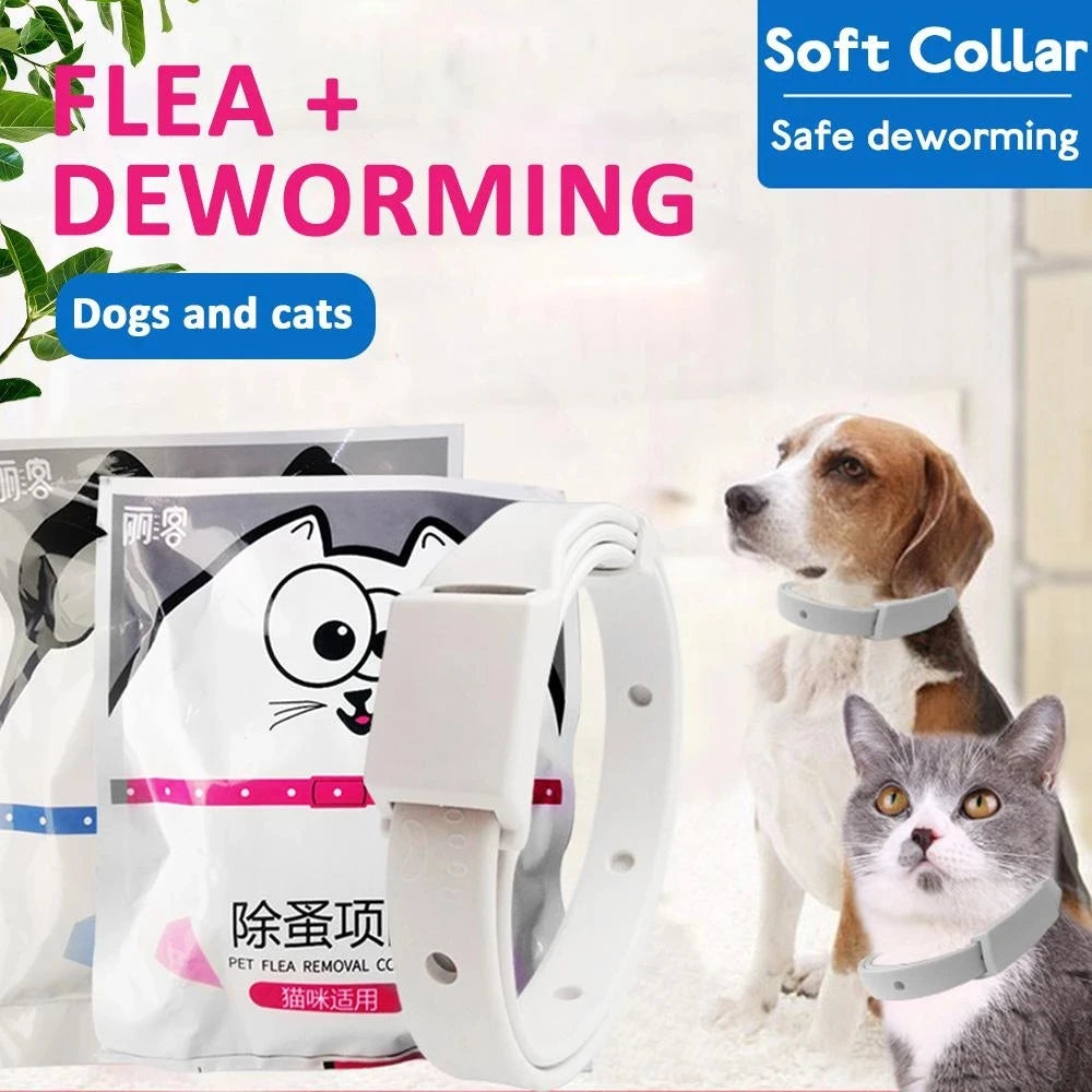 🛡️ Anti-Flea & Tick Collar – 8 Months of Protection for Cats & Small Dogs!