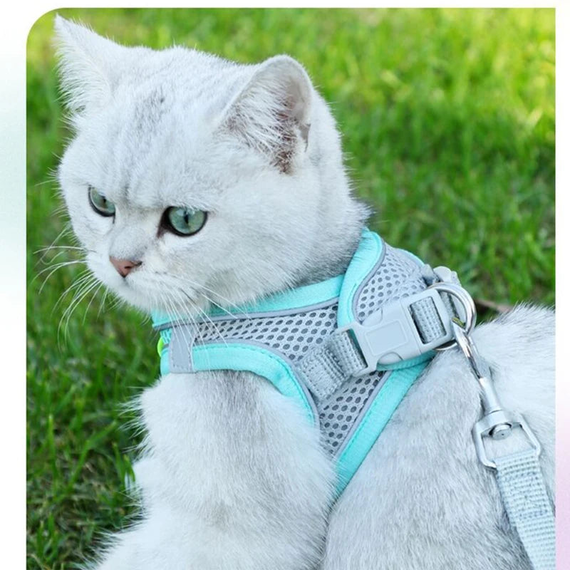 🐾 Cat & Dog Harness Leash Set – Adjustable Comfort for Your Furry Friend!