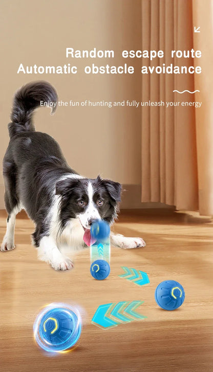 🎾 Smart Dog Toy Ball – Electronic Interactive Moving Ball for Dogs & Cats!