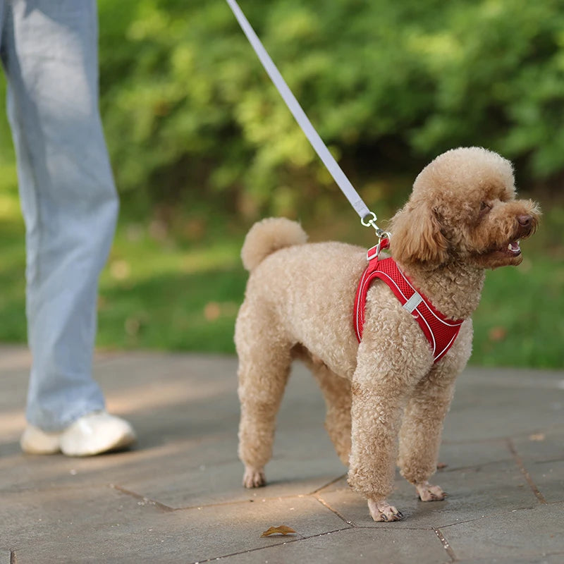 🐾 Cat & Dog Harness Leash Set – Adjustable Comfort for Your Furry Friend!