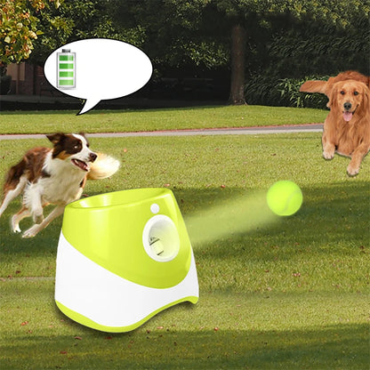 🎾 Automatic Dog Tennis Ball Launcher – Endless Fun for Your Energetic Puppy!